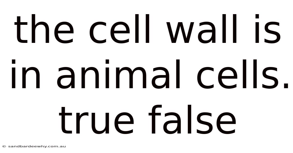 The Cell Wall Is In Animal Cells. True False