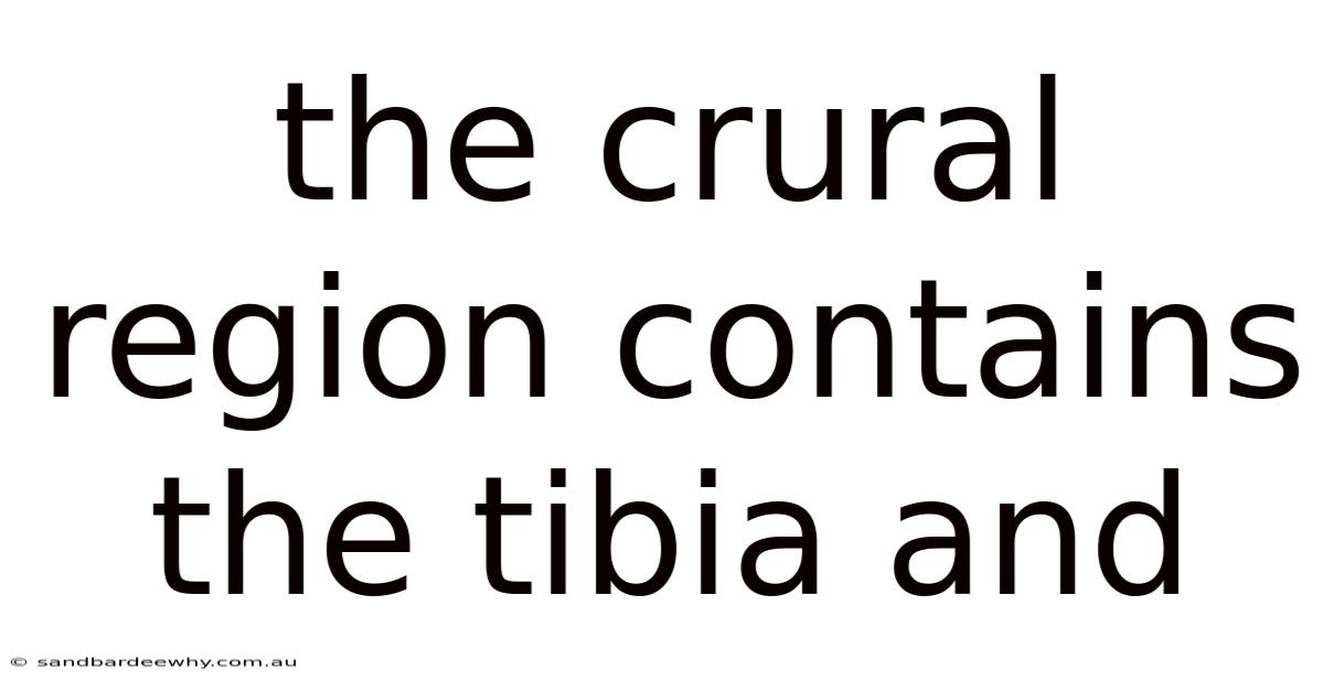 The Crural Region Contains The Tibia And