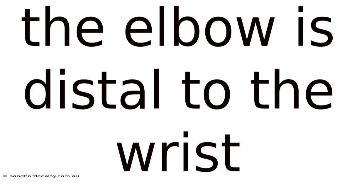 The Elbow Is Distal To The Wrist