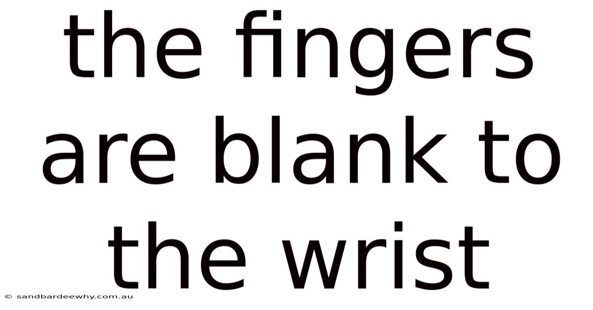 The Fingers Are Blank To The Wrist