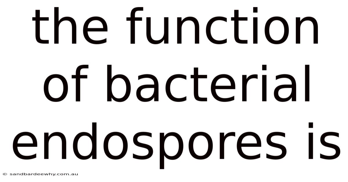 The Function Of Bacterial Endospores Is