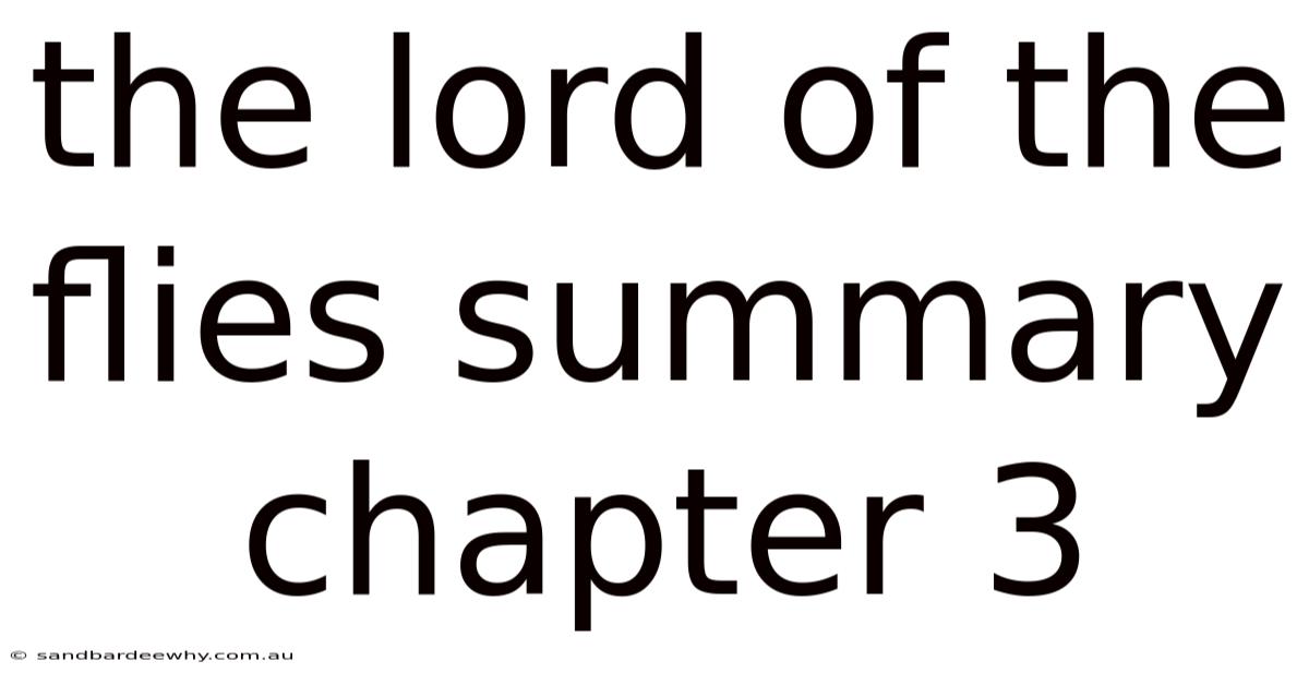 The Lord Of The Flies Summary Chapter 3