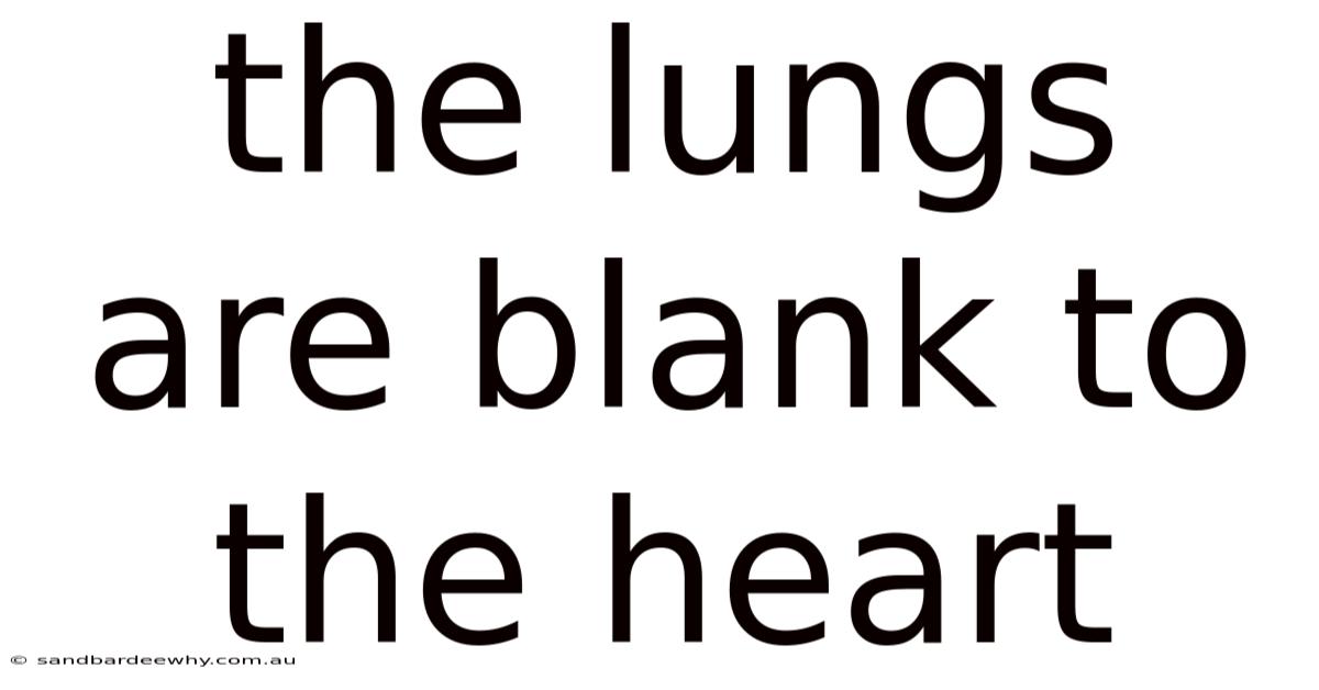 The Lungs Are Blank To The Heart