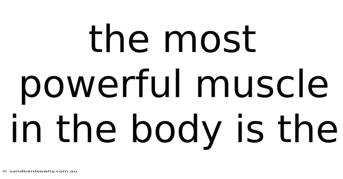 The Most Powerful Muscle In The Body Is The