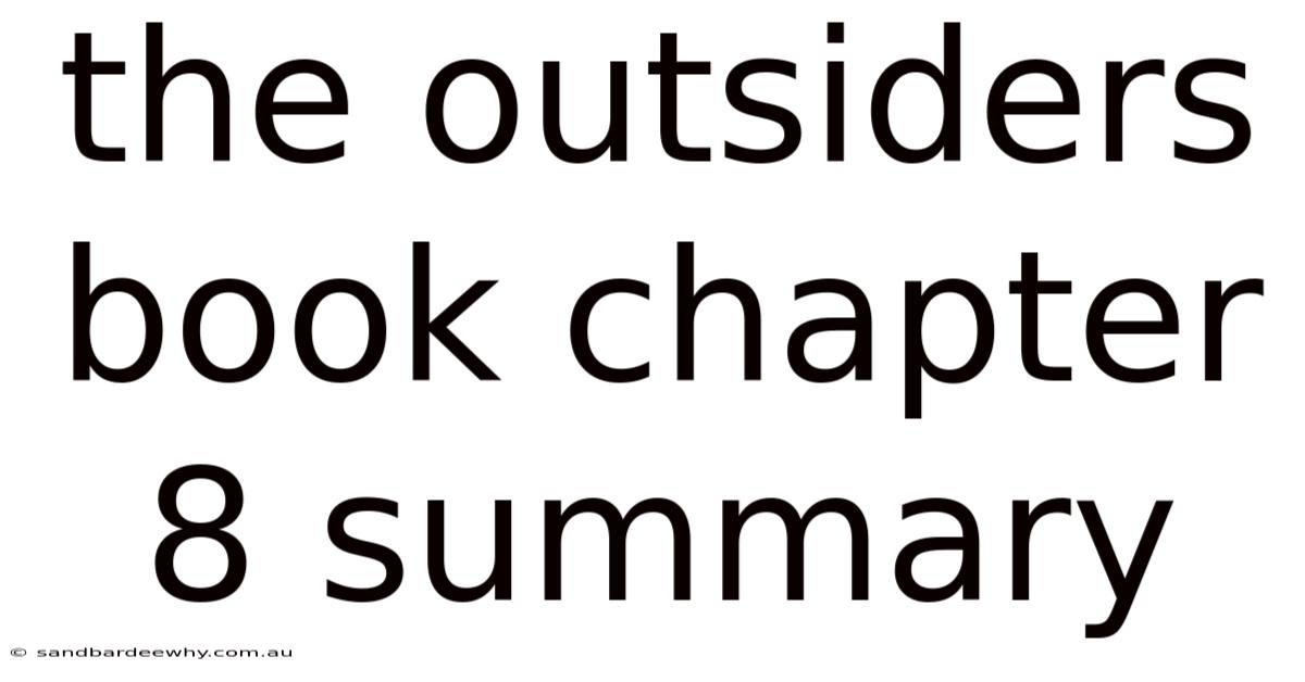 The Outsiders Book Chapter 8 Summary