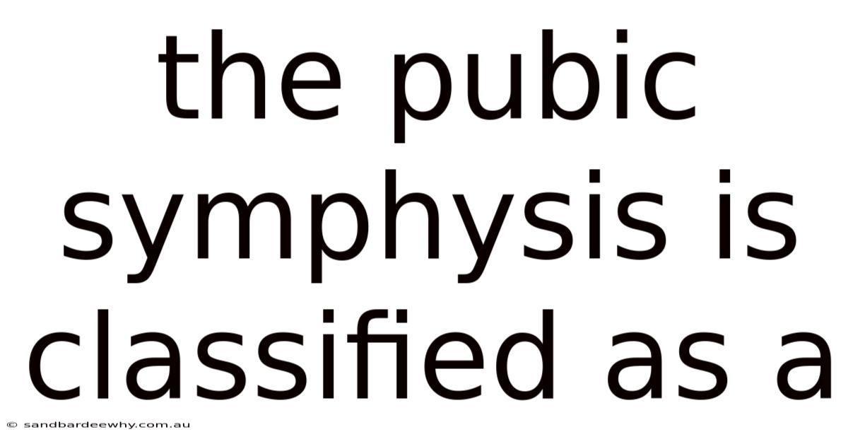 The Pubic Symphysis Is Classified As A