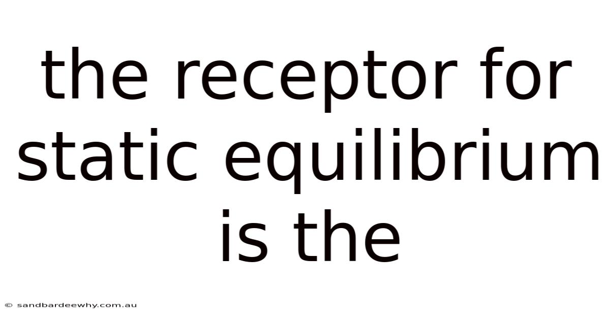 The Receptor For Static Equilibrium Is The
