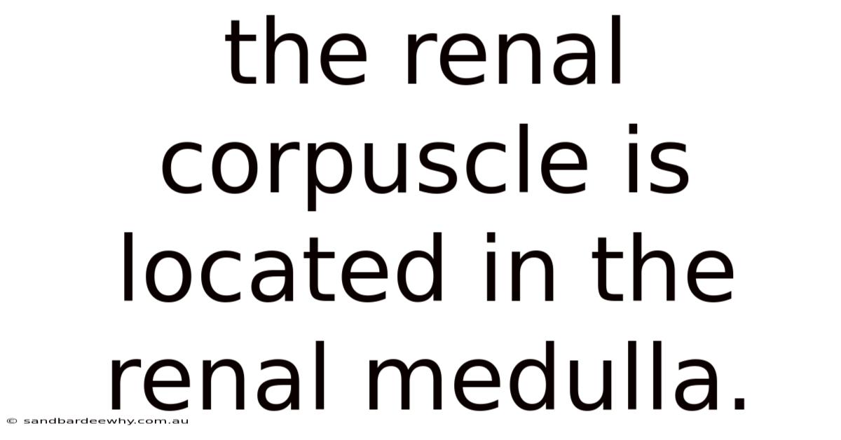 The Renal Corpuscle Is Located In The Renal Medulla.