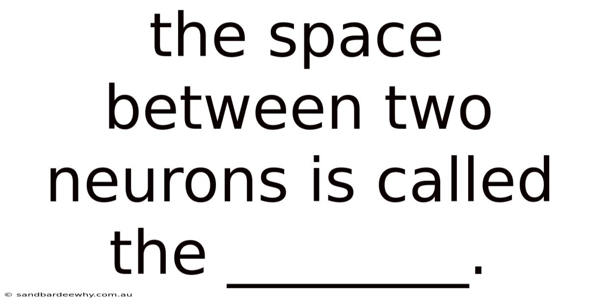 The Space Between Two Neurons Is Called The ________.