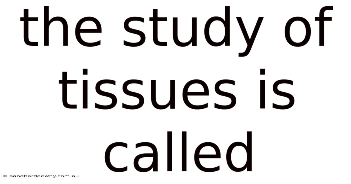 The Study Of Tissues Is Called