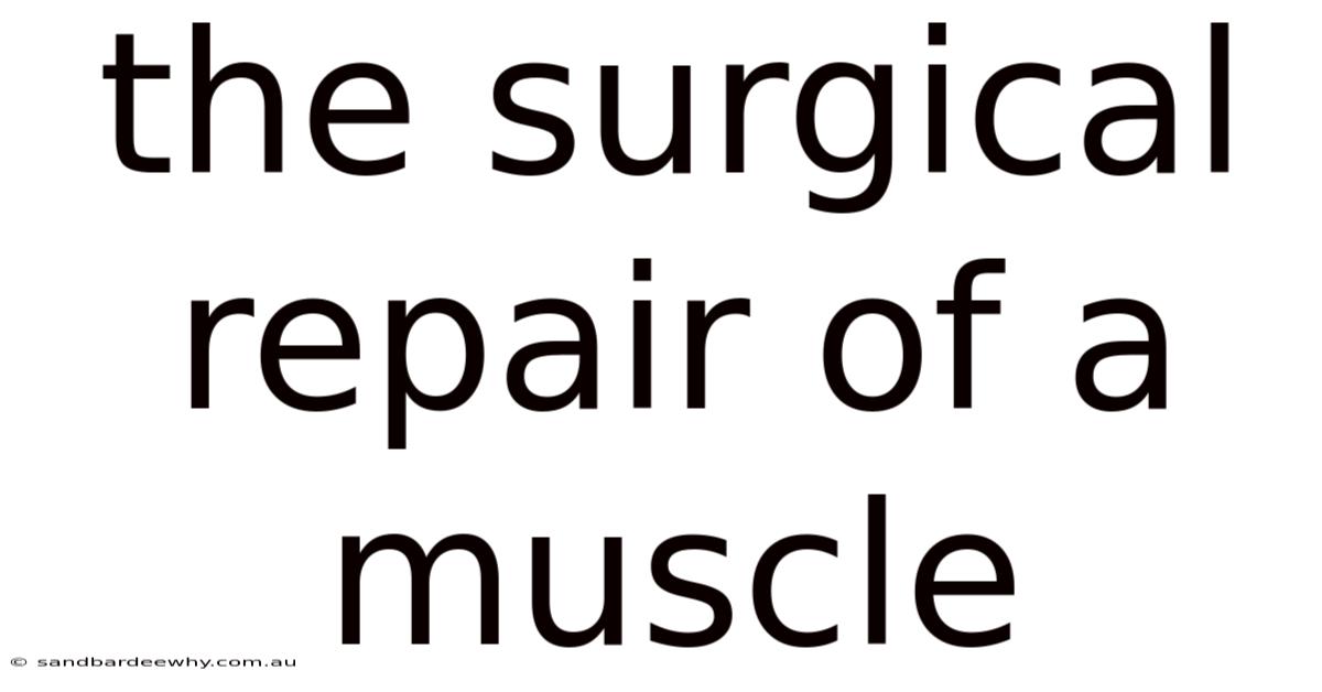 The Surgical Repair Of A Muscle