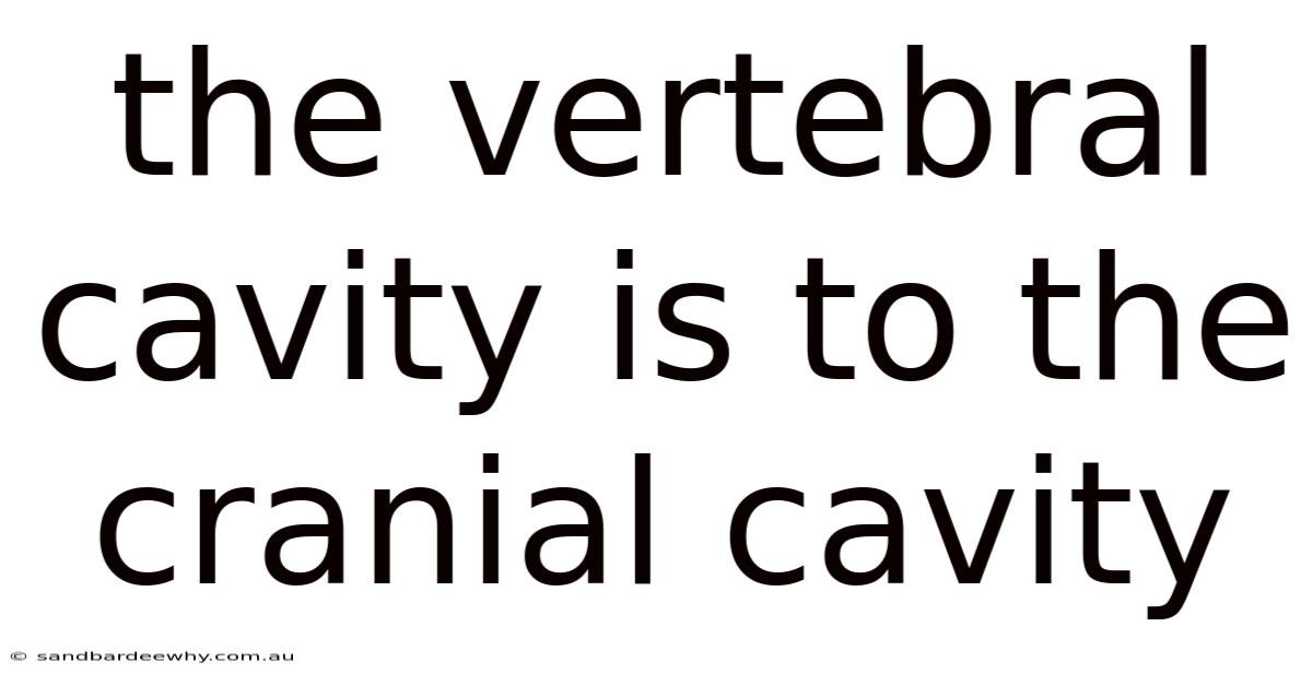 The Vertebral Cavity Is To The Cranial Cavity
