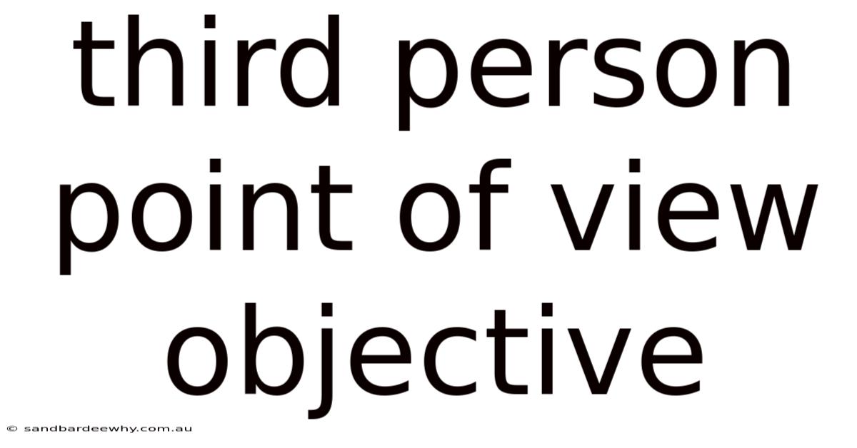 Third Person Point Of View Objective