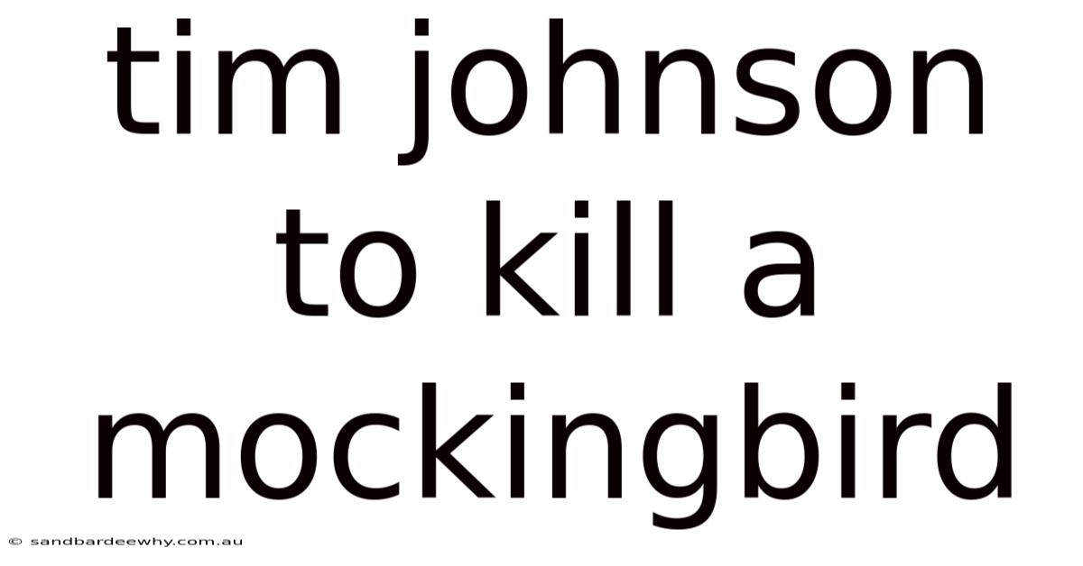 Tim Johnson To Kill A Mockingbird