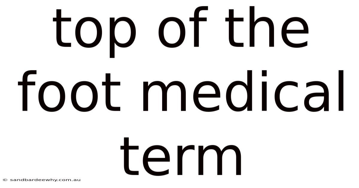 Top Of The Foot Medical Term