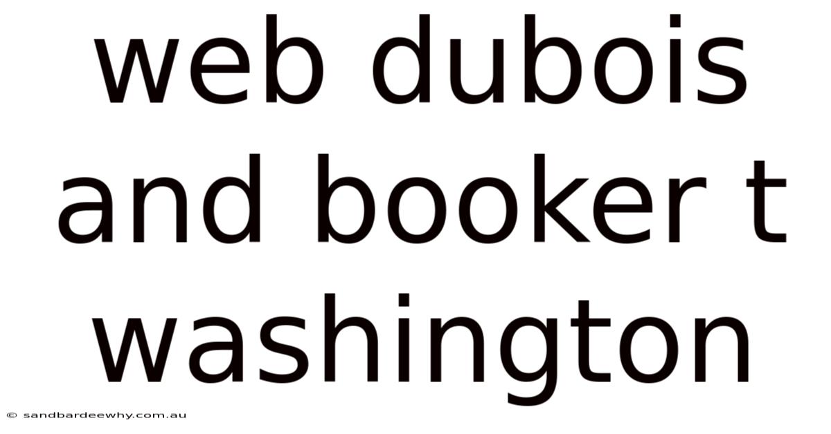 Web Dubois And Booker T Washington