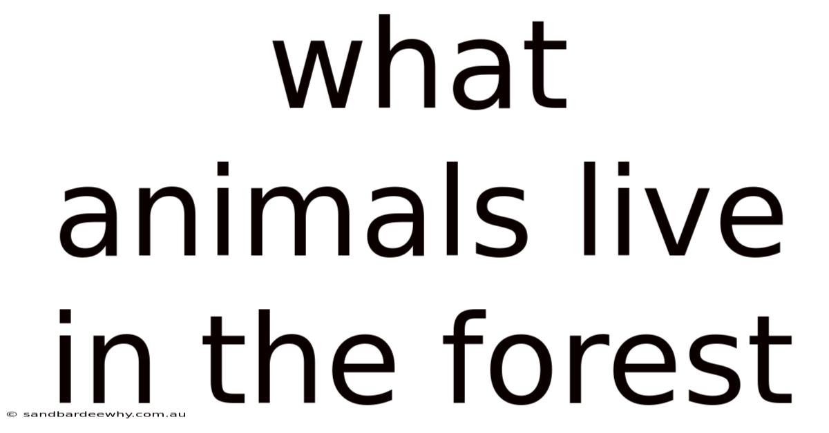 What Animals Live In The Forest