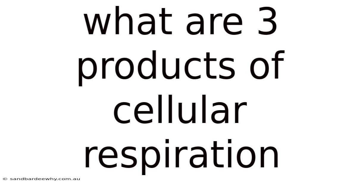 What Are 3 Products Of Cellular Respiration