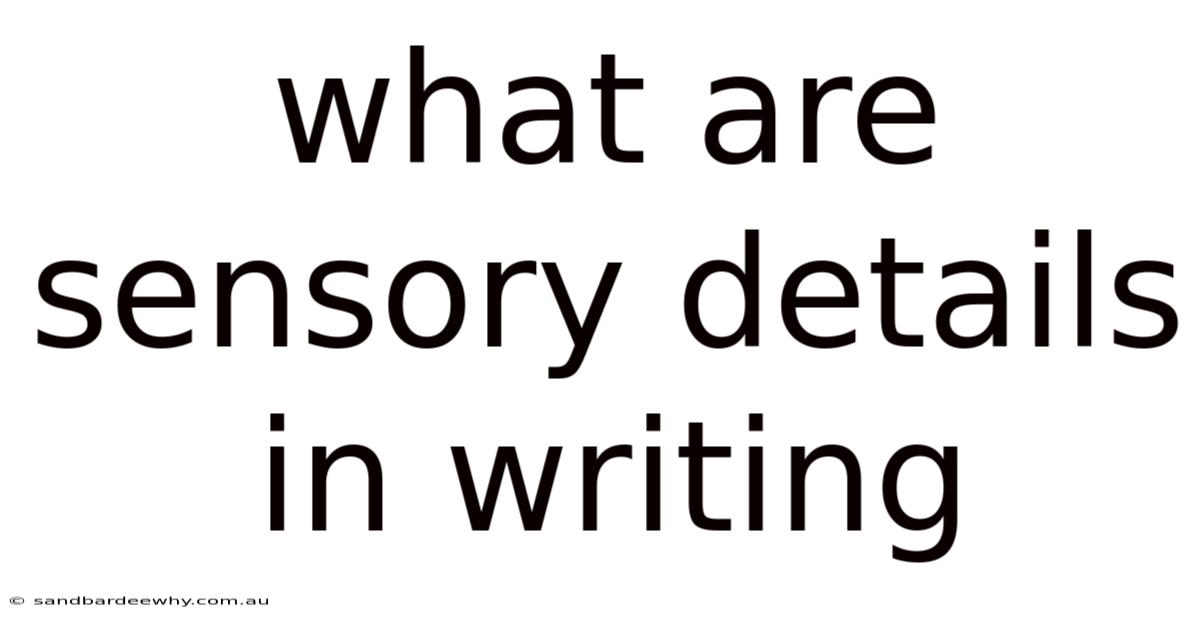 What Are Sensory Details In Writing
