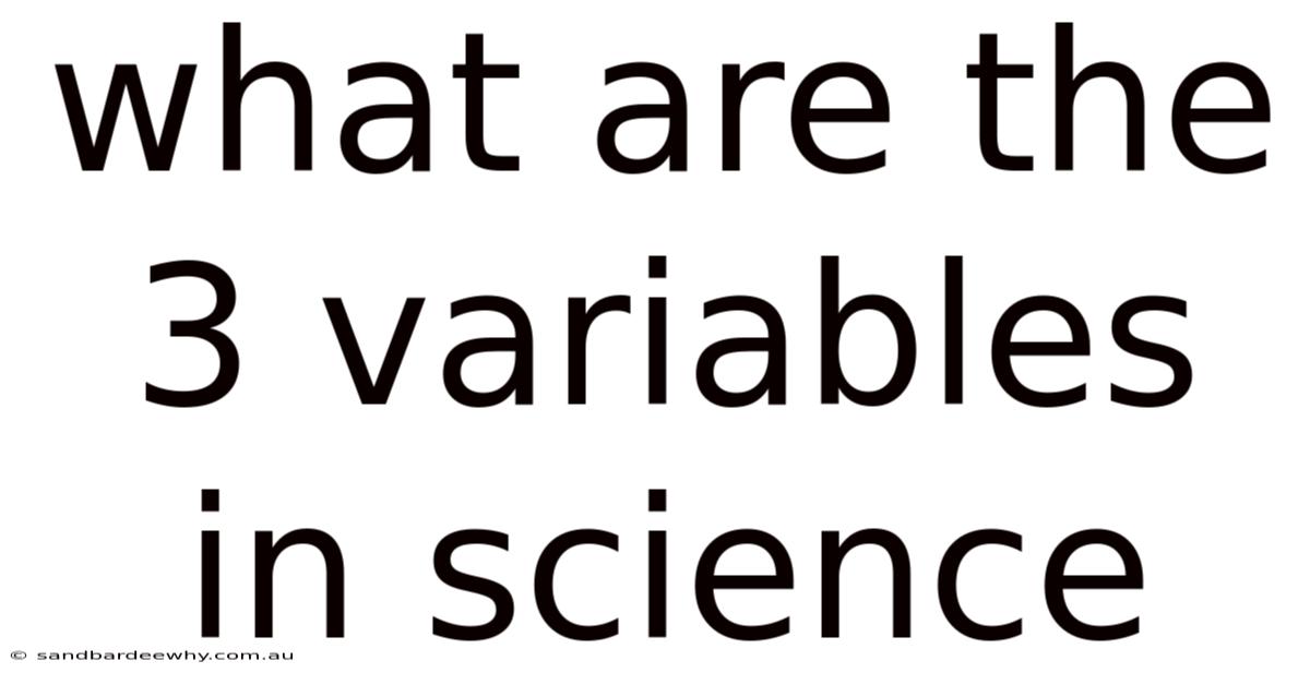 What Are The 3 Variables In Science