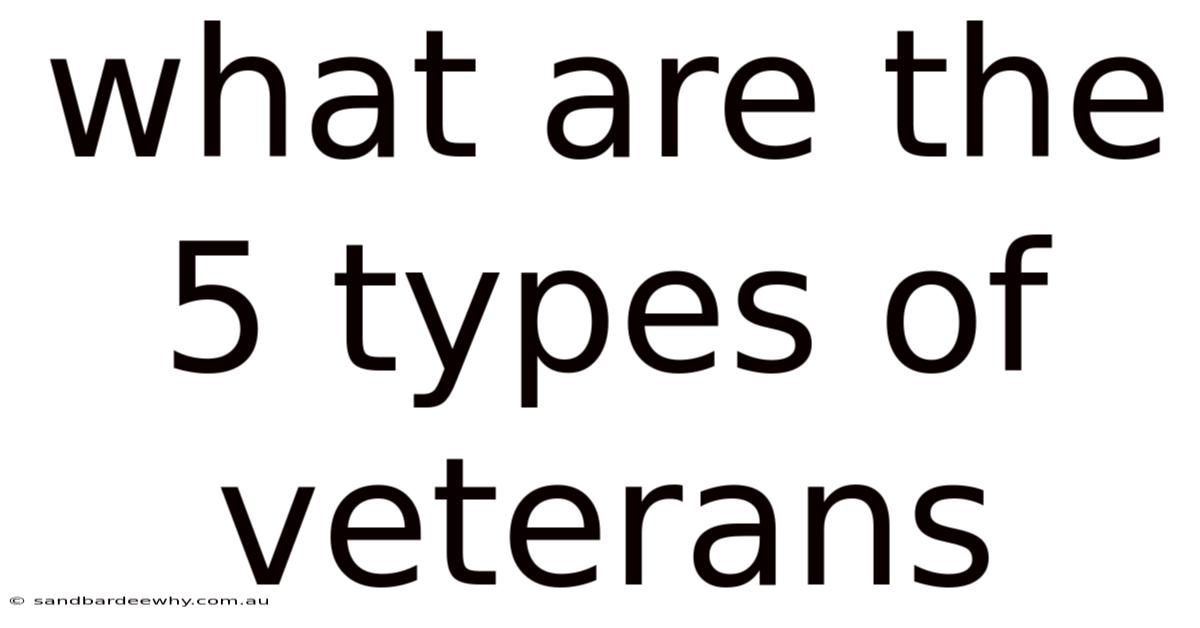 What Are The 5 Types Of Veterans