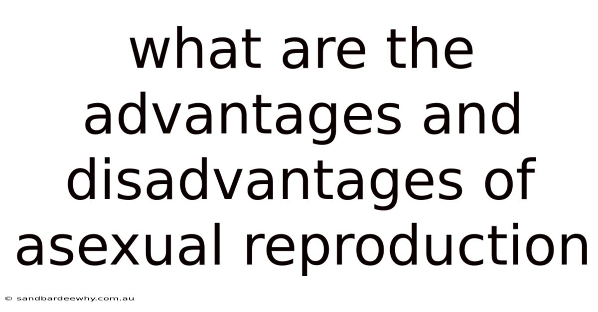 What Are The Advantages And Disadvantages Of Asexual Reproduction