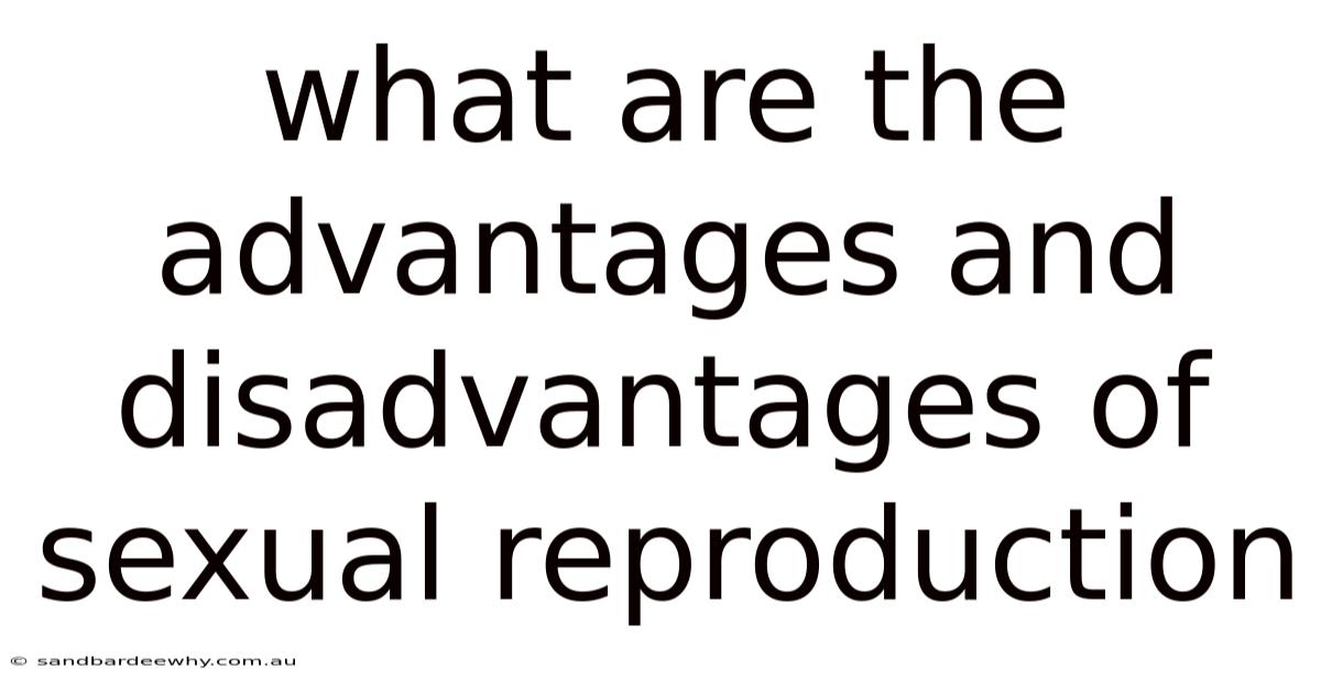 What Are The Advantages And Disadvantages Of Sexual Reproduction