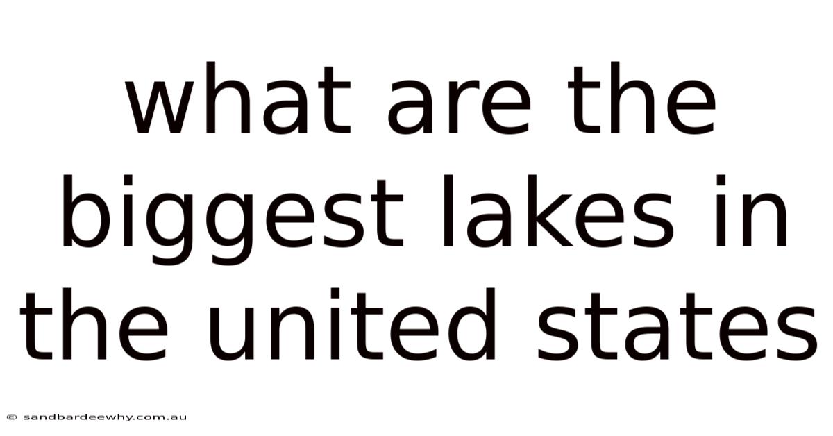 What Are The Biggest Lakes In The United States