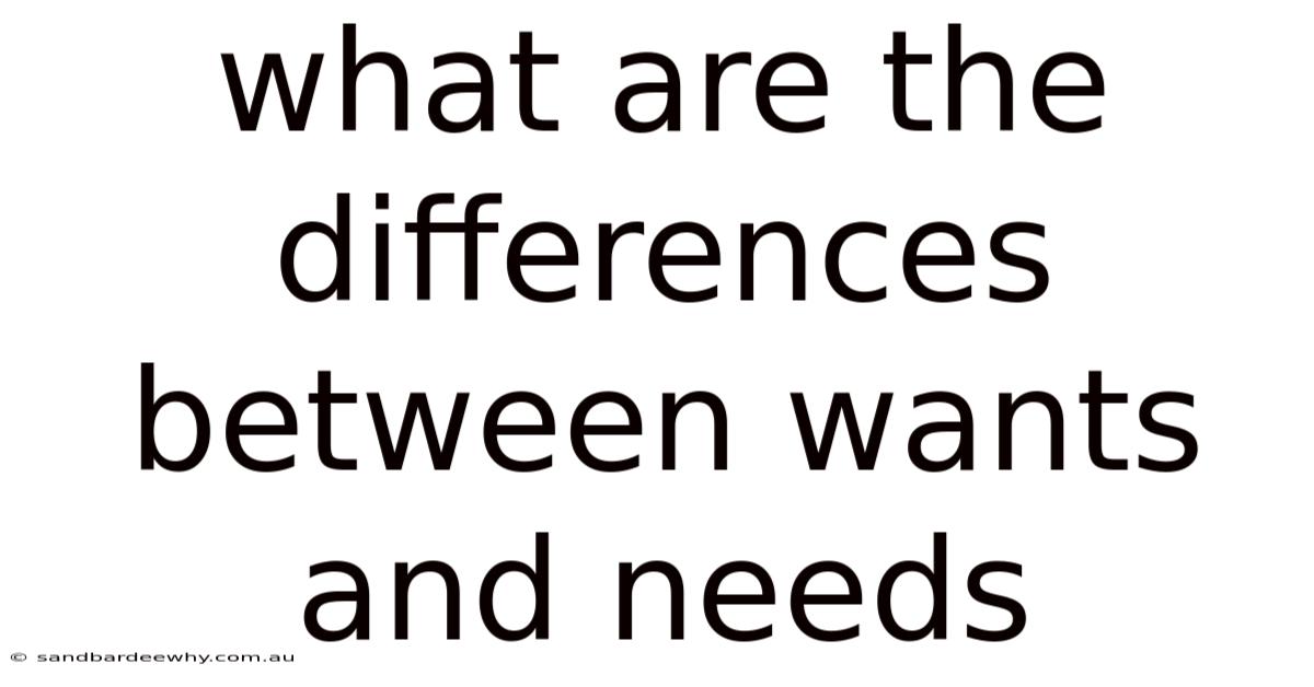 What Are The Differences Between Wants And Needs