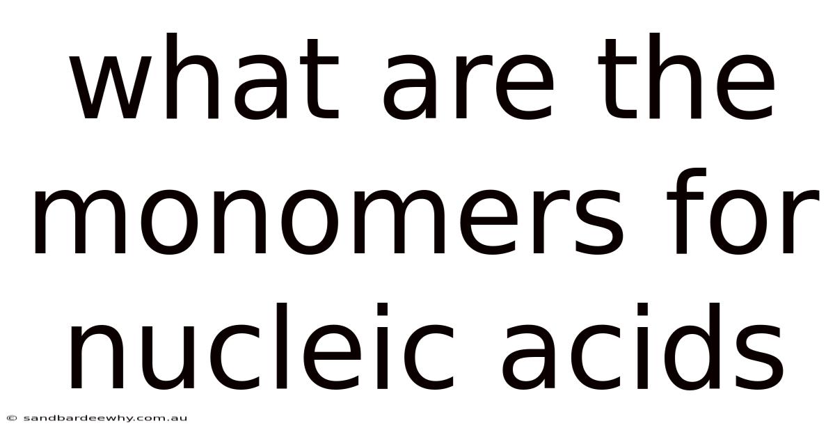 What Are The Monomers For Nucleic Acids