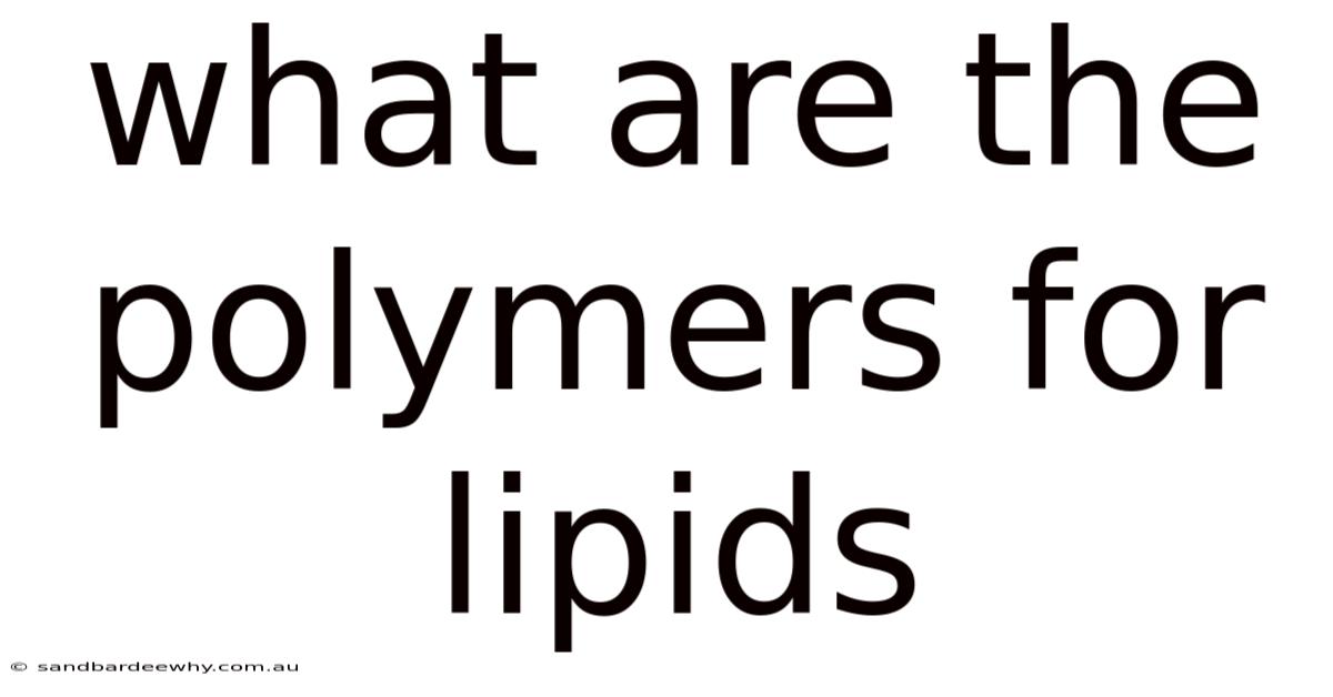 What Are The Polymers For Lipids