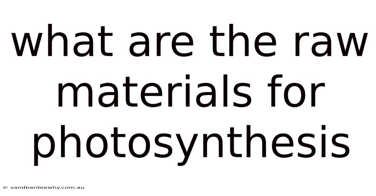 What Are The Raw Materials For Photosynthesis