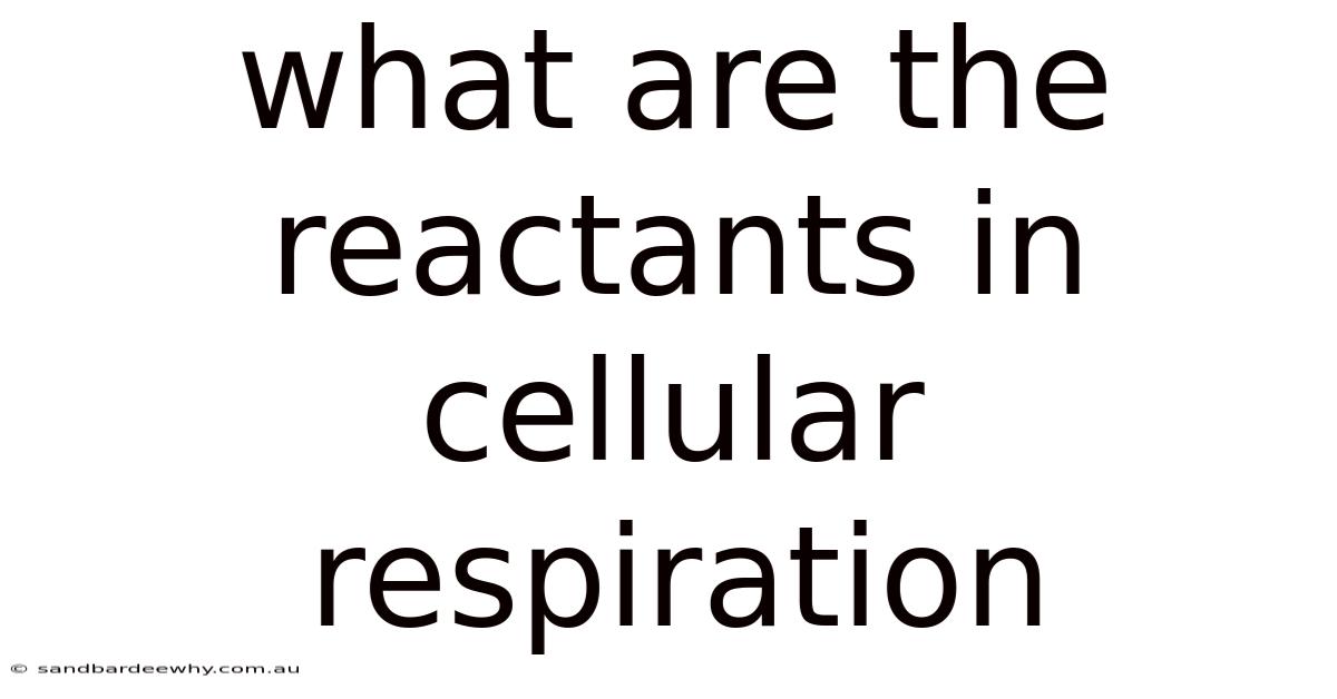 What Are The Reactants In Cellular Respiration