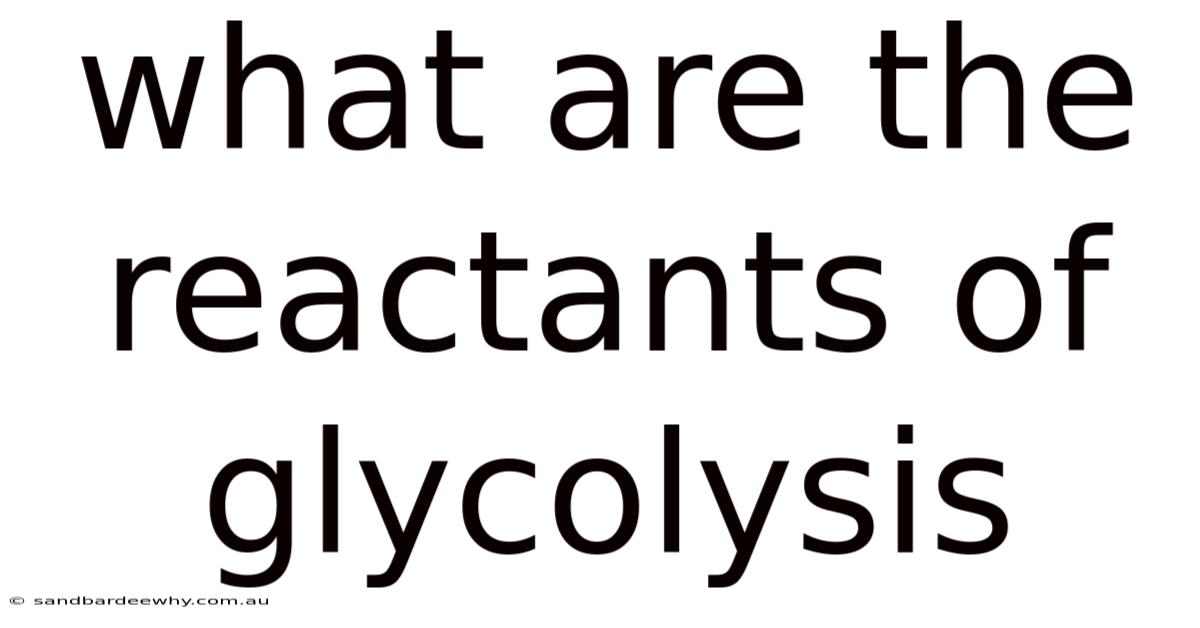 What Are The Reactants Of Glycolysis
