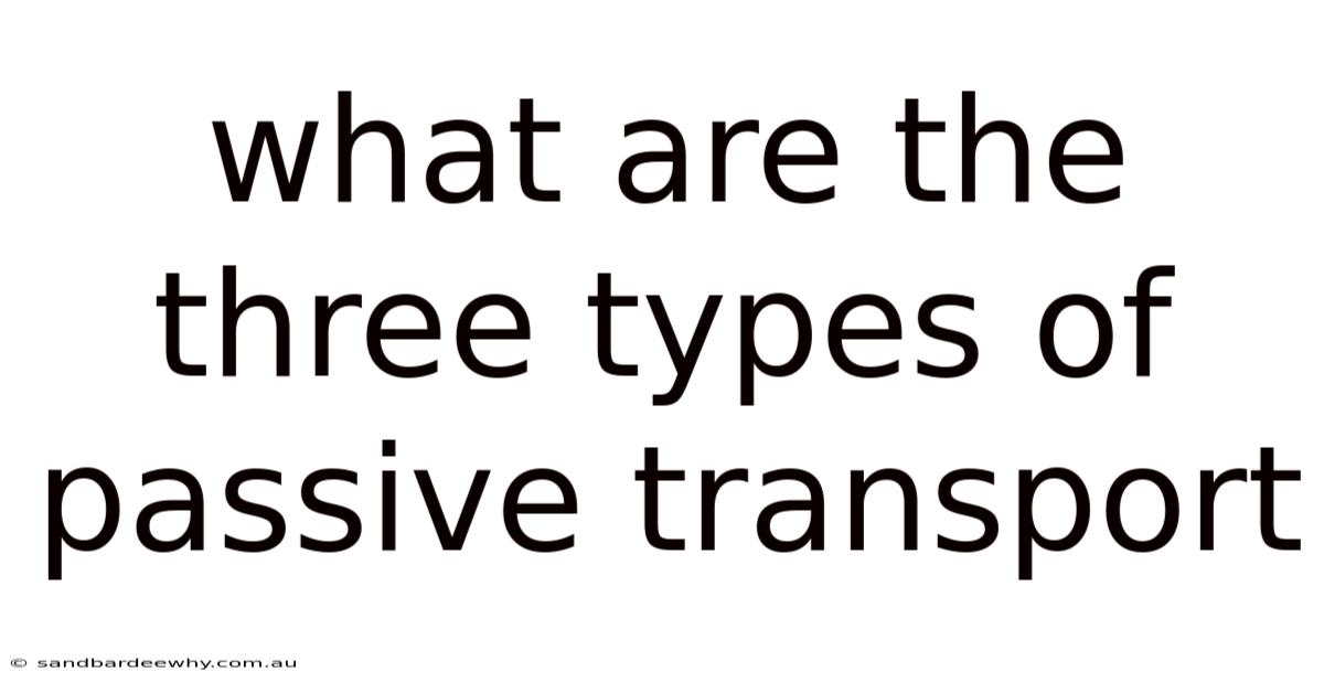What Are The Three Types Of Passive Transport