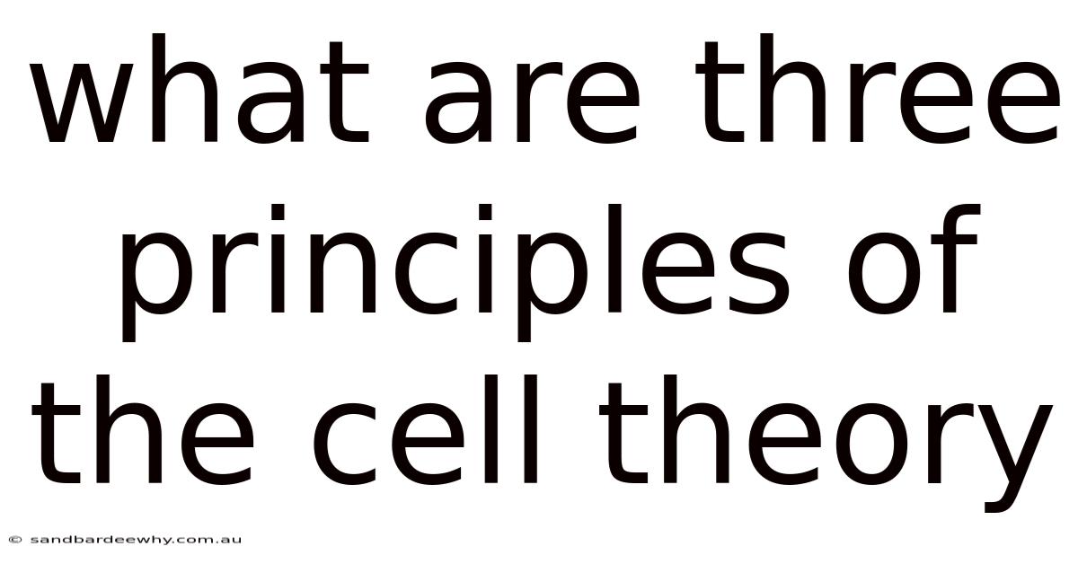 What Are Three Principles Of The Cell Theory