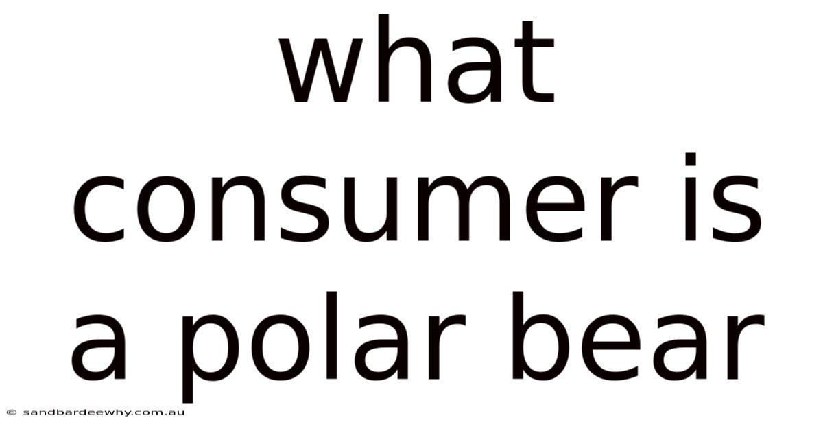 What Consumer Is A Polar Bear