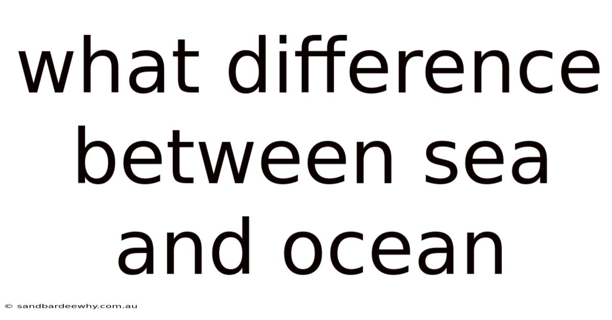 What Difference Between Sea And Ocean