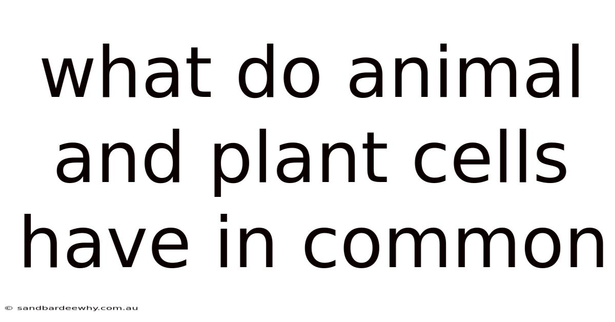 What Do Animal And Plant Cells Have In Common