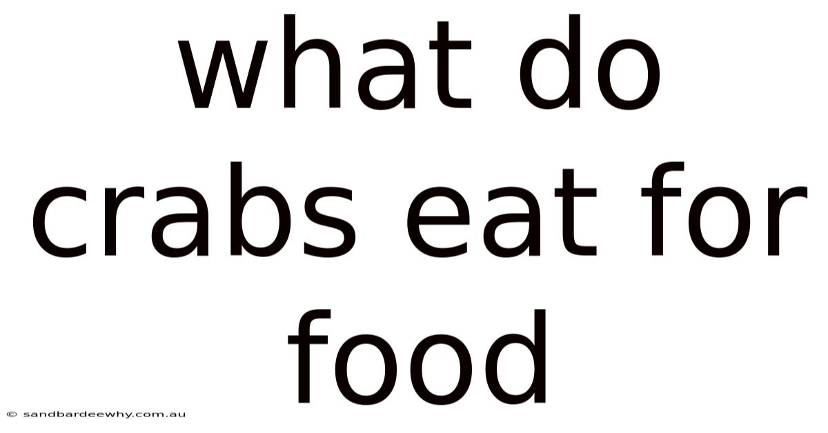 What Do Crabs Eat For Food