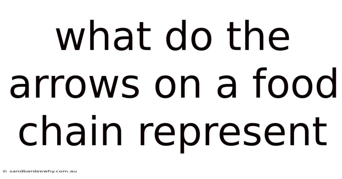What Do The Arrows On A Food Chain Represent