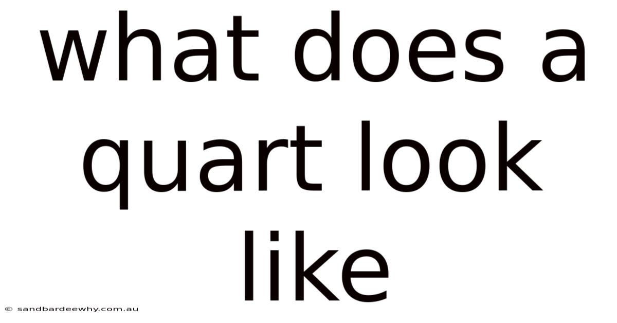 What Does A Quart Look Like