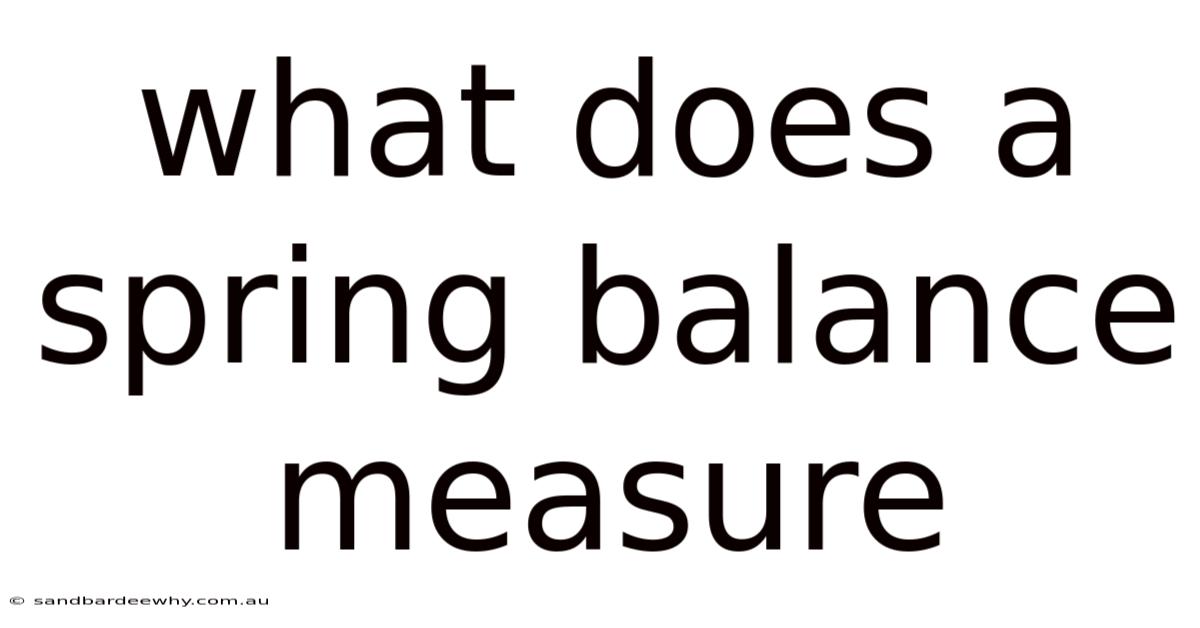 What Does A Spring Balance Measure