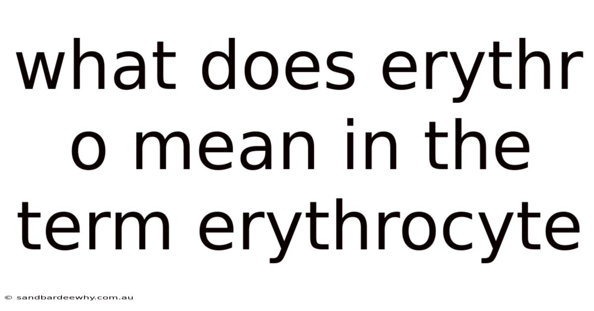 What Does Erythr O Mean In The Term Erythrocyte