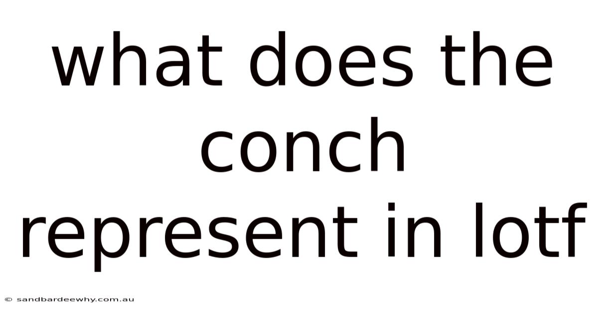 What Does The Conch Represent In Lotf