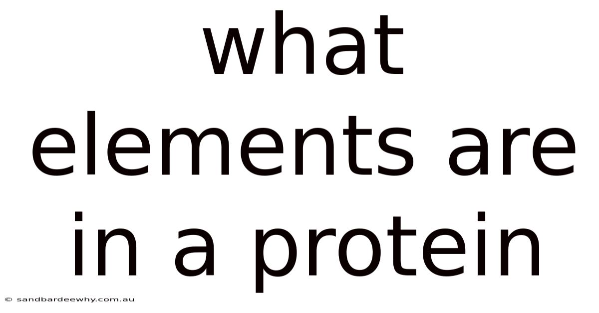 What Elements Are In A Protein