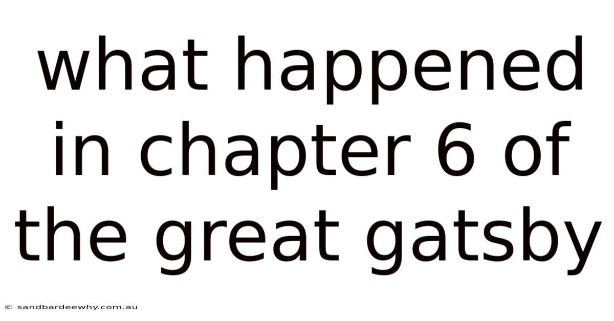 What Happened In Chapter 6 Of The Great Gatsby