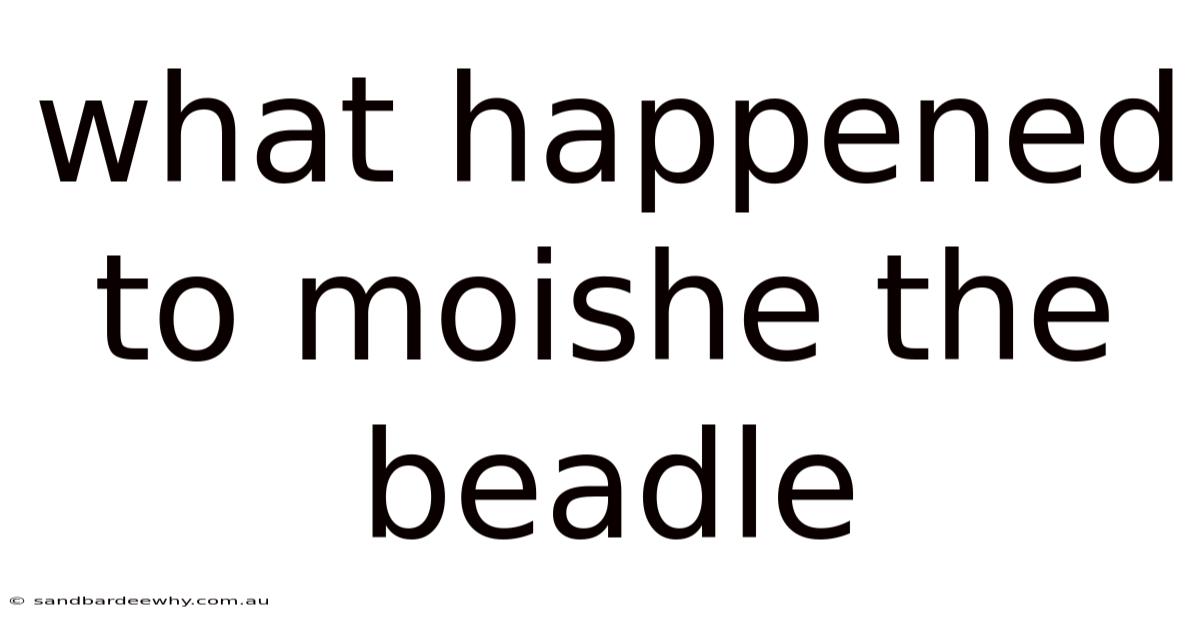 What Happened To Moishe The Beadle