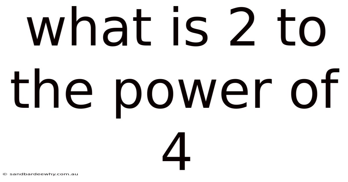 What Is 2 To The Power Of 4
