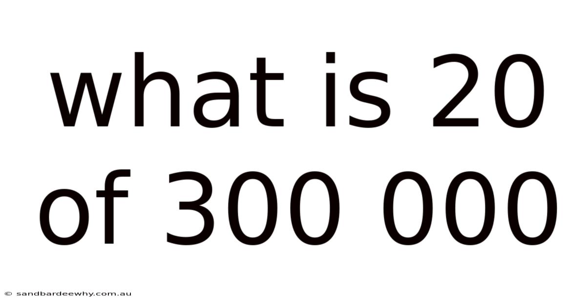 What Is 20 Of 300 000